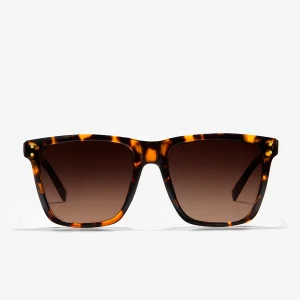 Roosevelt II Carey / Brown