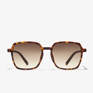 Banger Matte Tort / Gradient Brown