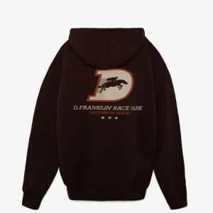 Race Park Hoodie Brown
