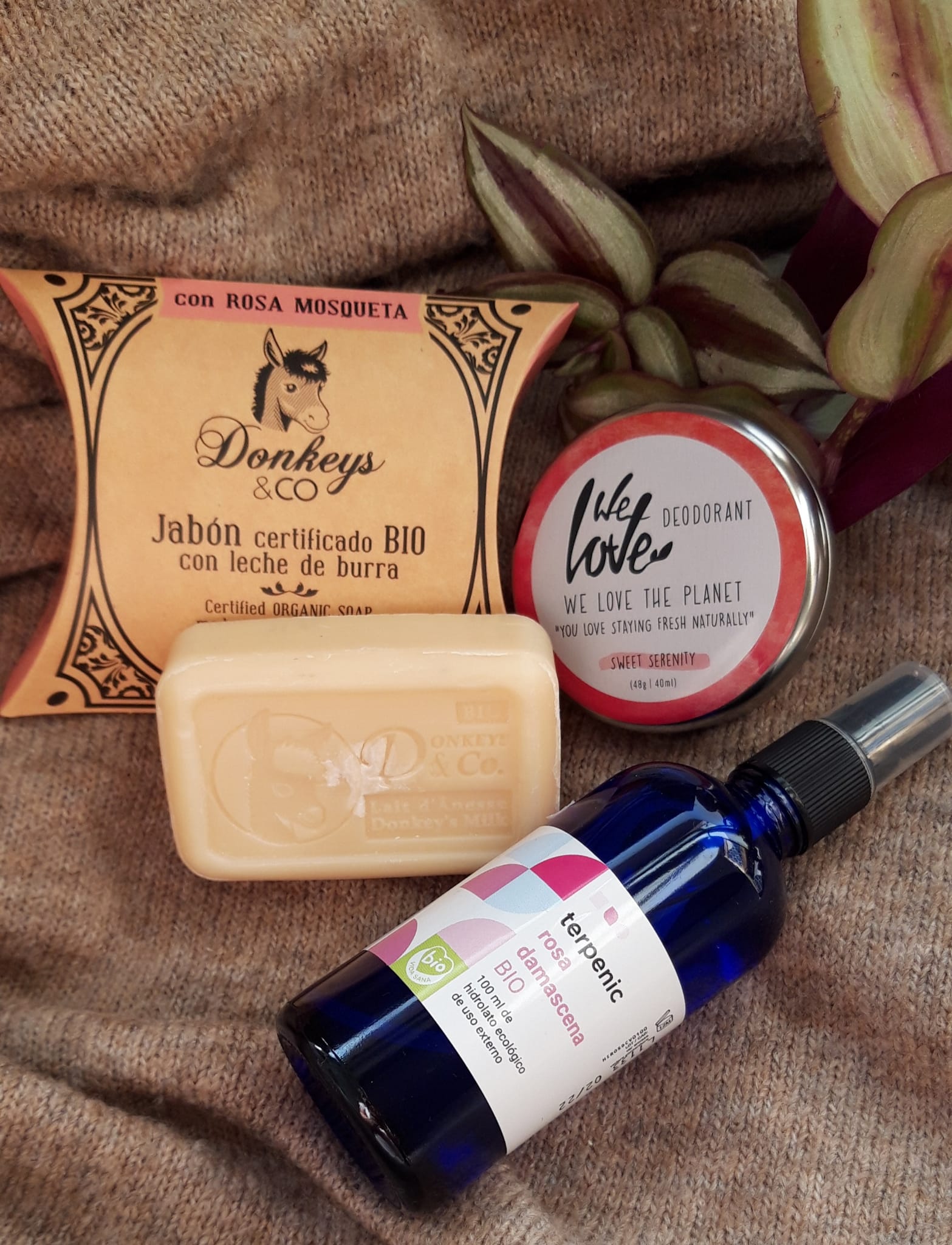 Pack Rosa, Ètikmundishop - Imagen 5